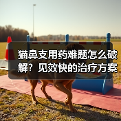 猫鼻支用药难题怎么破解？见效快的治疗方案全解析