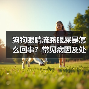 狗狗眼睛流脓眼屎是怎么回事?常见病因及处理方法揭秘!(图3) 狗狗眼睛流脓眼屎是怎么回事?常见病因及处理方法揭秘!(图3)