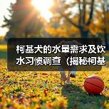 柯基犬的水量需求及饮水习惯调查(揭秘柯基犬每日饮水量的合理范围及相关注意事项)(图3) 柯基犬的水量需求及饮水习惯调查(揭秘柯基犬每日饮水量的合理范围及相关注意事项)(图3)