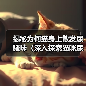 揭秘为何猫身上散发尿骚味(深入探索猫咪尿骚味的成因与解决方案)(图3) 揭秘为何猫身上散发尿骚味(深入探索猫咪尿骚味的成因与解决方案)(图3)