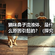 猫咪鼻子流液体，是什么原因引起的？（探究猫咪鼻子流液体的病因与治疗方法）