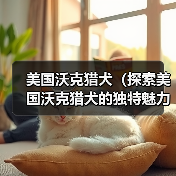 美国沃克猎犬(探索美国沃克猎犬的独特魅力与训练技巧)(图4) 美国沃克猎犬(探索美国沃克猎犬的独特魅力与训练技巧)(图4)