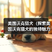 美国沃克猎犬(探索美国沃克猎犬的独特魅力与训练技巧)(图2) 美国沃克猎犬(探索美国沃克猎犬的独特魅力与训练技巧)(图2)