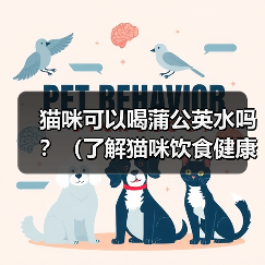 猫咪可以喝蒲公英水吗?(了解猫咪饮食健康的重要性)(图3) 猫咪可以喝蒲公英水吗?(了解猫咪饮食健康的重要性)(图3)