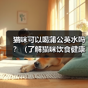 猫咪可以喝蒲公英水吗？（了解猫咪饮食健康的重要性）