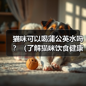 猫咪可以喝蒲公英水吗?(了解猫咪饮食健康的重要性)(图2) 猫咪可以喝蒲公英水吗?(了解猫咪饮食健康的重要性)(图2)