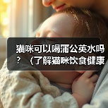 猫咪可以喝蒲公英水吗?(了解猫咪饮食健康的重要性)(图4) 猫咪可以喝蒲公英水吗?(了解猫咪饮食健康的重要性)(图4)