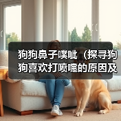 狗狗鼻子噗呲(探寻狗狗喜欢打喷嚏的原因及其影响)(图4) 狗狗鼻子噗呲(探寻狗狗喜欢打喷嚏的原因及其影响)(图4)