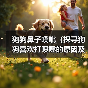 狗狗鼻子噗呲(探寻狗狗喜欢打喷嚏的原因及其影响)(图3) 狗狗鼻子噗呲(探寻狗狗喜欢打喷嚏的原因及其影响)(图3)