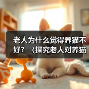 老人为什么觉得养猫不好？（探究老人对养猫的担忧和偏见）