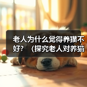 老人为什么觉得养猫不好?(探究老人对养猫的担忧和偏见)(图2) 老人为什么觉得养猫不好?(探究老人对养猫的担忧和偏见)(图2)