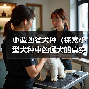 小型凶猛犬种(探索小型犬种中凶猛犬的真实本性与适应环境的方法)(图2) 小型凶猛犬种(探索小型犬种中凶猛犬的真实本性与适应环境的方法)(图2)