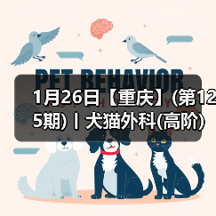 1月26日【重庆】(第125期)丨犬猫外科(高阶)班!含SUB(人人可实操)、乳糜胸等技术!(图2) 1月26日【重庆】(第125期)丨犬猫外科(高阶)班!含SUB(人人可实操)、乳糜胸等技术!(图2)