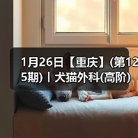 1月26日【重庆】(第125期)丨犬猫外科(高阶)班!含SUB(人人可实操)、乳糜胸等技术!(图3) 1月26日【重庆】(第125期)丨犬猫外科(高阶)班!含SUB(人人可实操)、乳糜胸等技术!(图3)
