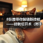 8张图带你解锁新技能——膀胱切开术(附手术视频)(图3) 8张图带你解锁新技能——膀胱切开术(附手术视频)(图3)
