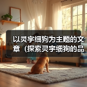 以灵宇细狗为主题的文章(探索灵宇细狗的品种特点与训练技巧)(图4) 以灵宇细狗为主题的文章(探索灵宇细狗的品种特点与训练技巧)(图4)