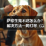 萨摩生完不吃怎么办？解决方法一网打尽（以萨摩生完不吃为主题的有效解决办法）（图2）