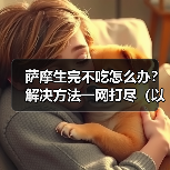 萨摩生完不吃怎么办？解决方法一网打尽（以萨摩生完不吃为主题的有效解决办法）（图4）