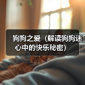 狗狗之爱(解读狗狗迷心中的快乐秘密)(图4) 狗狗之爱(解读狗狗迷心中的快乐秘密)(图4)