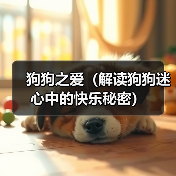 狗狗之爱(解读狗狗迷心中的快乐秘密)(图3) 狗狗之爱(解读狗狗迷心中的快乐秘密)(图3)