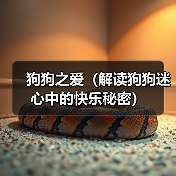 狗狗之爱(解读狗狗迷心中的快乐秘密)(图2) 狗狗之爱(解读狗狗迷心中的快乐秘密)(图2)