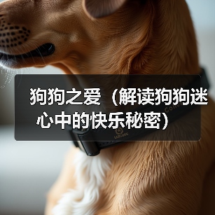 狗狗之爱（解读狗狗迷心中的快乐秘密）