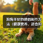 狗狗羊奶奶酪的制作方法（健康营养，适合狗狗的美味奶制品）