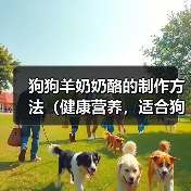 狗狗羊奶奶酪的制作方法(健康营养,适合狗狗的美味奶制品)(图3) 狗狗羊奶奶酪的制作方法(健康营养,适合狗狗的美味奶制品)(图3)
