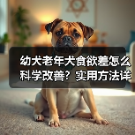 幼犬老年犬食欲差怎么科学改善?实用方法详解(图1) 幼犬老年犬食欲差怎么科学改善?实用方法详解(图1)
