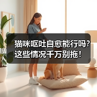 猫咪呕吐自愈能行吗?这些情况千万别拖!(图4) 猫咪呕吐自愈能行吗?这些情况千万别拖!(图4)