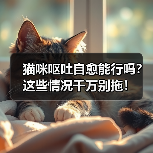 猫咪呕吐自愈能行吗?这些情况千万别拖!(图1) 猫咪呕吐自愈能行吗?这些情况千万别拖!(图1)