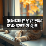 猫咪呕吐自愈能行吗?这些情况千万别拖!(图2) 猫咪呕吐自愈能行吗?这些情况千万别拖!(图2)