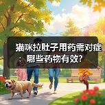 猫咪拉肚子用药需对症：哪些药物有效？（图3）