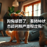 狗狗感冒了,看精神状态能判断严重程度吗?(图4) 狗狗感冒了,看精神状态能判断严重程度吗?(图4)