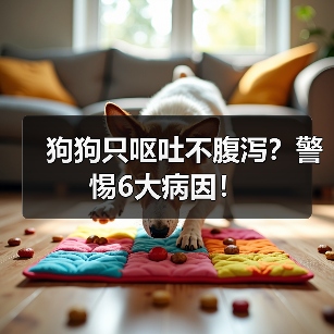 狗狗只呕吐不腹泻?警惕6大病因!(图4) 狗狗只呕吐不腹泻?警惕6大病因!(图4)