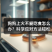 狗狗上火不爱吃食怎么办?科学应对方法轻松搞定!(图2) 狗狗上火不爱吃食怎么办?科学应对方法轻松搞定!(图2)