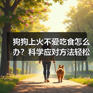 狗狗上火不爱吃食怎么办?科学应对方法轻松搞定!(图4) 狗狗上火不爱吃食怎么办?科学应对方法轻松搞定!(图4)