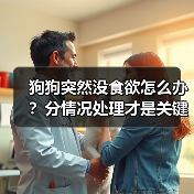 狗狗突然没食欲怎么办？分情况处理才是关键（图3）