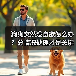 狗狗突然没食欲怎么办？分情况处理才是关键（图1）