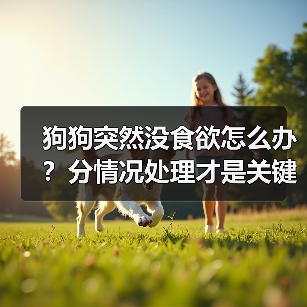 狗狗突然没食欲怎么办？分情况处理才是关键（图2）