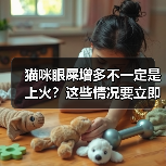 猫咪眼屎增多不一定是上火?这些情况要立即就医(图1) 猫咪眼屎增多不一定是上火?这些情况要立即就医(图1)