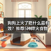 狗狗上火了吃什么最有效?推荐5种降火食物(图3) 狗狗上火了吃什么最有效?推荐5种降火食物(图3)