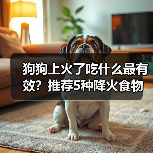 狗狗上火了吃什么最有效?推荐5种降火食物(图2) 狗狗上火了吃什么最有效?推荐5种降火食物(图2)