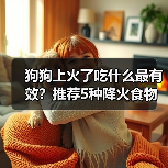 狗狗上火了吃什么最有效?推荐5种降火食物(图4) 狗狗上火了吃什么最有效?推荐5种降火食物(图4)