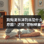 狗狗流鼻涕到底是什么原因？这些