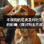不遛狗的危害及对社区的影响（探讨狗主不遛狗对环境、健康和社交的负面影响及应对措施）（图1）