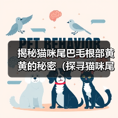 揭秘猫咪尾巴毛根部黄黄的秘密(探寻猫咪尾巴毛根部黄黄现象的原因和治疗方法)(图4) 揭秘猫咪尾巴毛根部黄黄的秘密(探寻猫咪尾巴毛根部黄黄现象的原因和治疗方法)(图4)