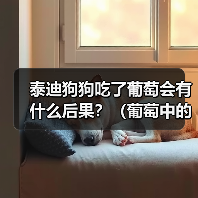 泰迪狗狗吃了葡萄会有什么后果?(葡萄中的毒素对泰迪狗狗的影响及应对方法)(图2) 泰迪狗狗吃了葡萄会有什么后果?(葡萄中的毒素对泰迪狗狗的影响及应对方法)(图2)