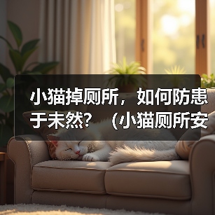 小猫掉厕所，如何防患于未然？（小猫厕所安全防护措施详解）（图4）