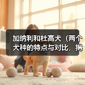 加纳利和杜高犬(两个犬种的特点与对比,揭示真正的“猛兽”)(图1) 加纳利和杜高犬(两个犬种的特点与对比,揭示真正的“猛兽”)(图1)